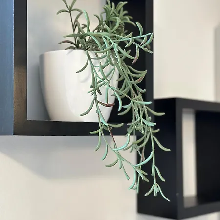 Pika Apartmán Portorož